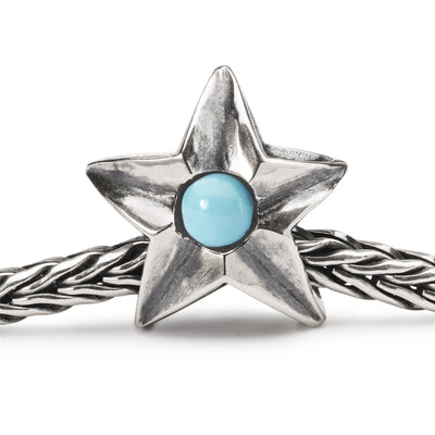 Aquarius Star Bead